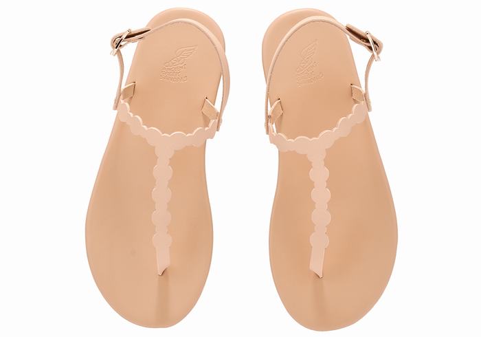 Sandales Bride Arrière Ancient Greek Sandals Velos Flip Flop   | AXV-8825263